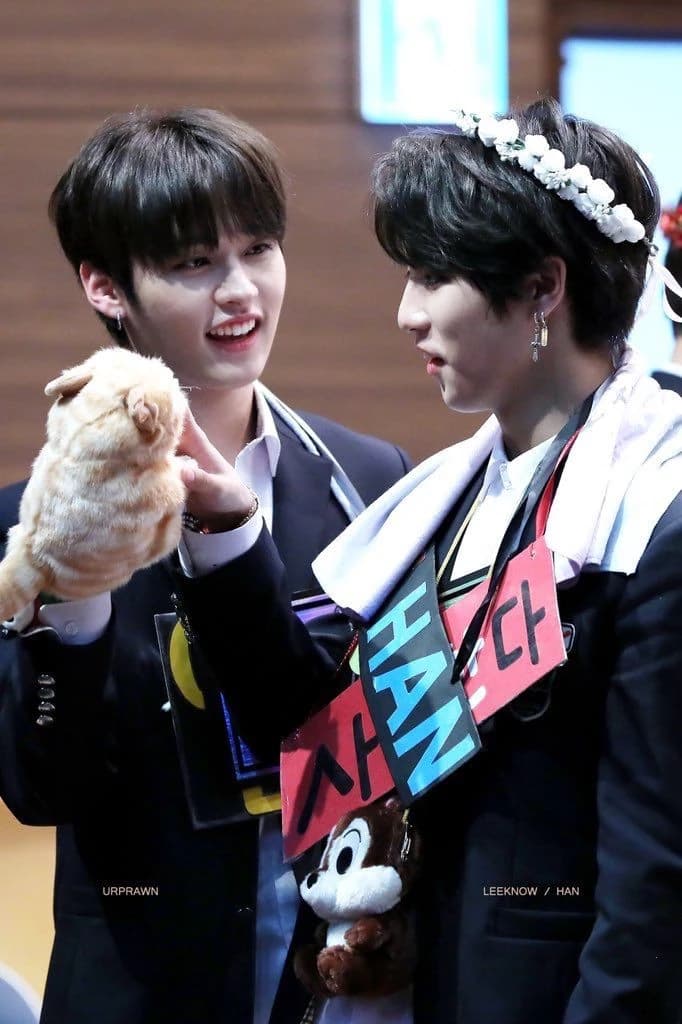 Minho \|\| Minsung thumbnail