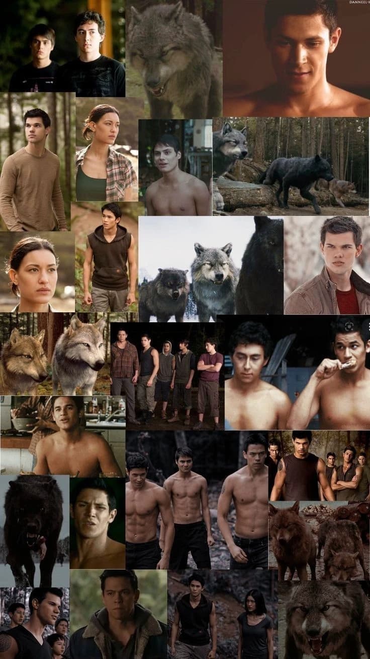 Twilight pack  thumbnail