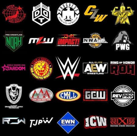 Pro wrestling organizations thumbnail
