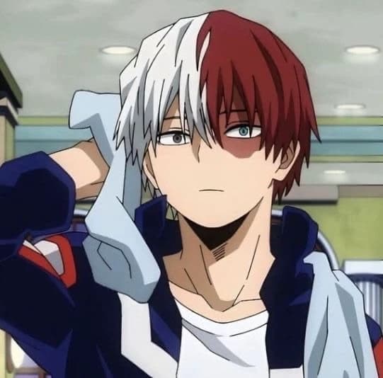 Todoroki Shoto [The guy you love to annoy] thumbnail
