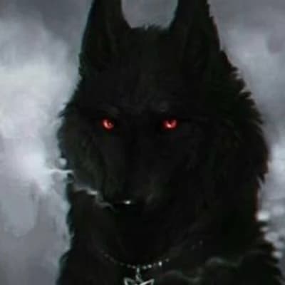 Alpha wolf thumbnail
