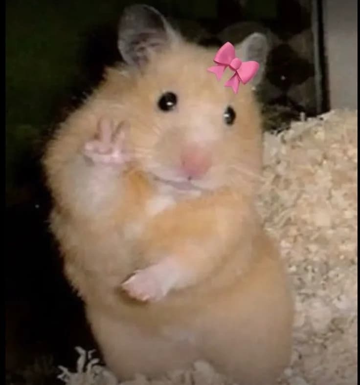 Your hamster thumbnail