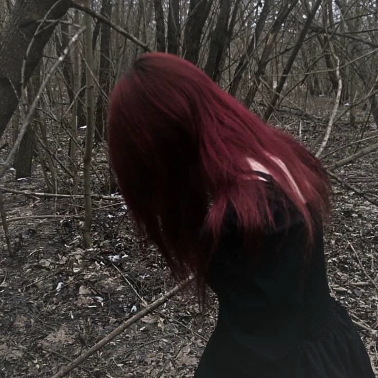 Violet Blackwood thumbnail