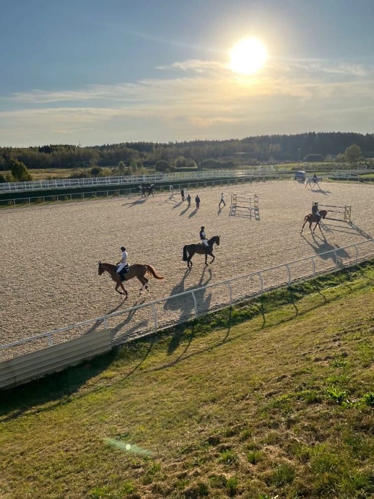 Horse Academy 🐴♥ thumbnail