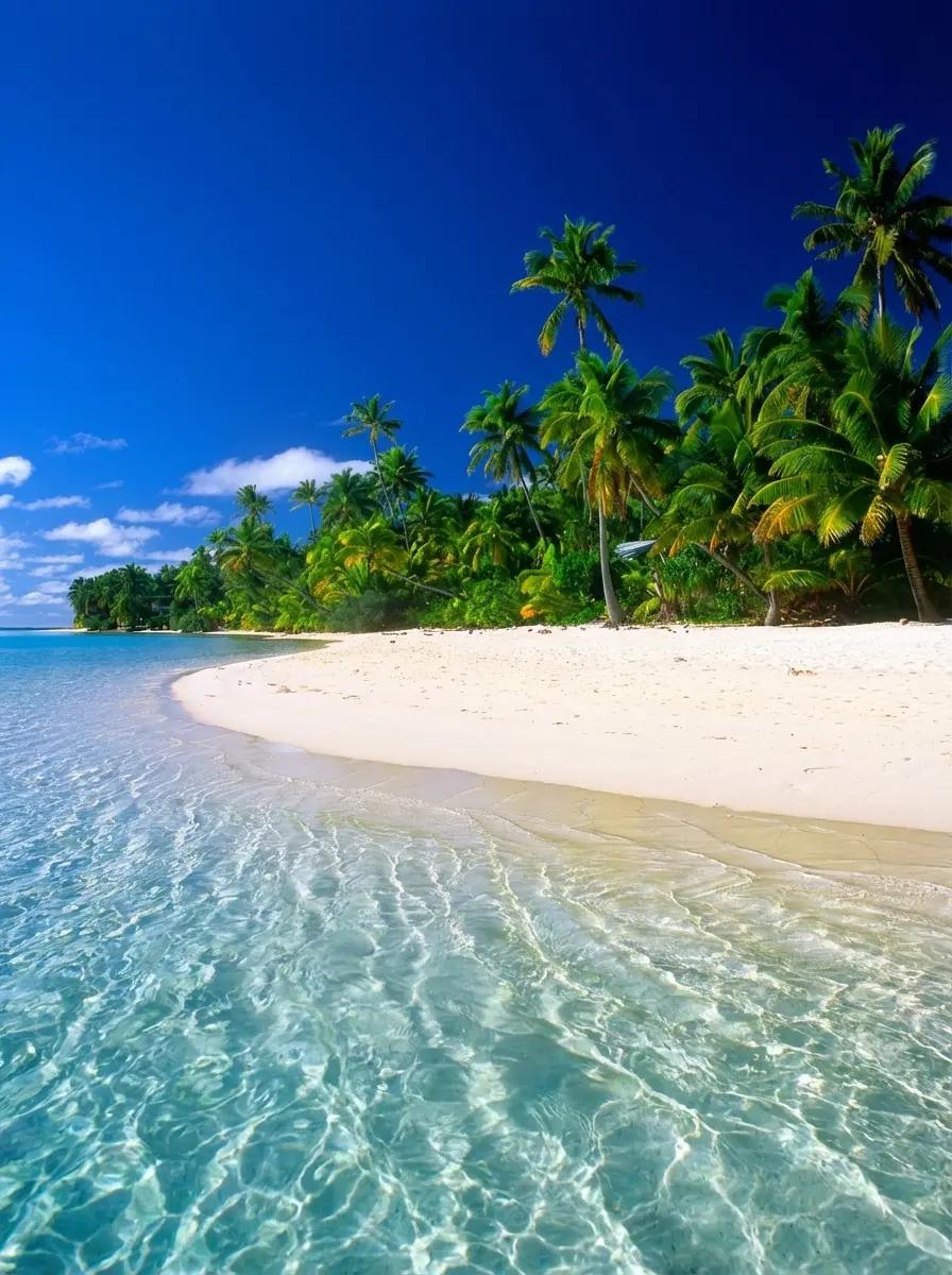 The Island thumbnail