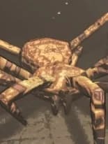 giant spider thumbnail