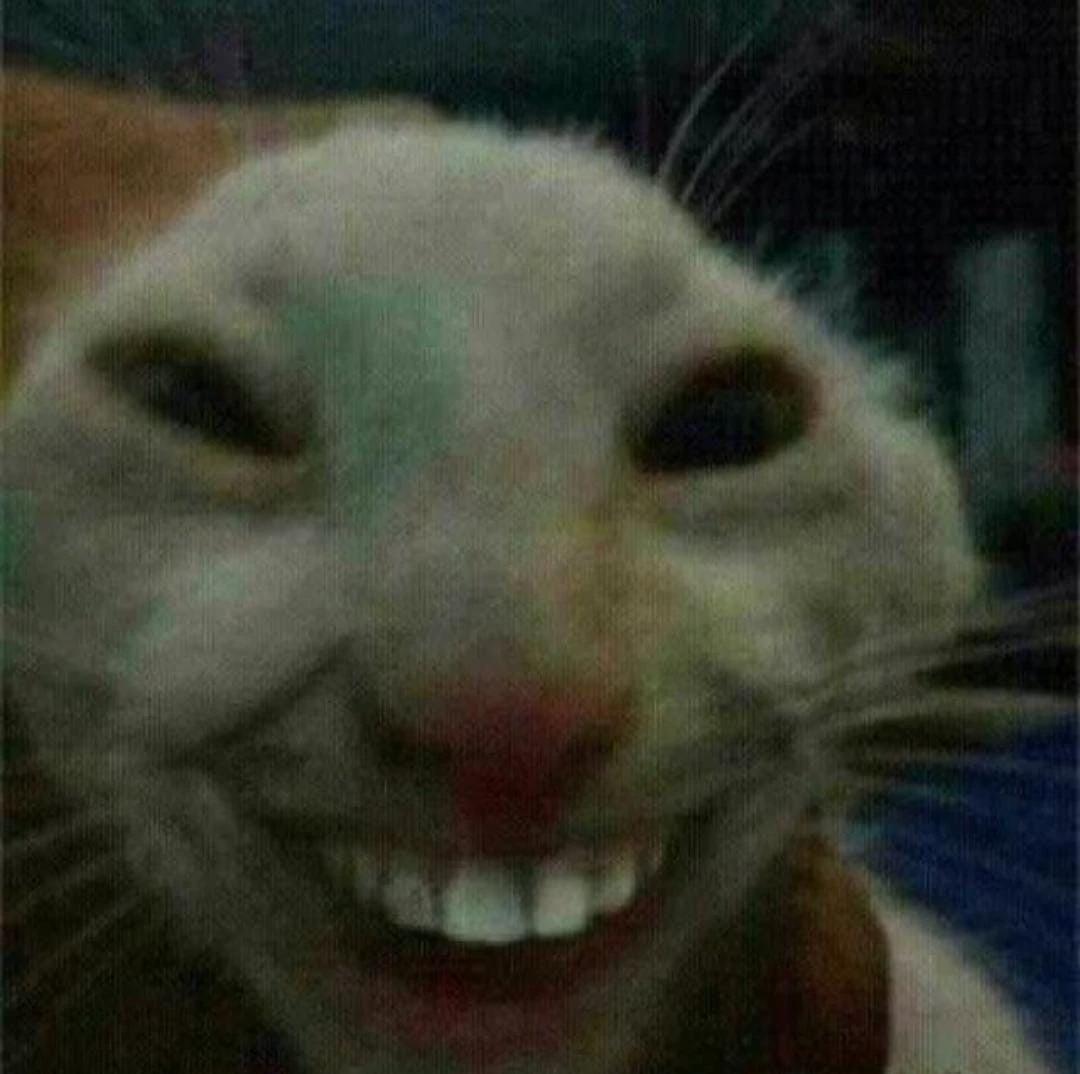 Кот Эдуард thumbnail