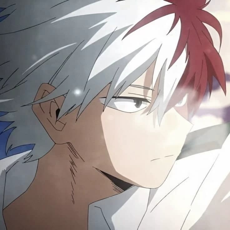 Todoroki Shoto thumbnail