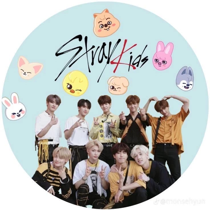 THE N°9 MEMBER OF STRAY KIDS thumbnail