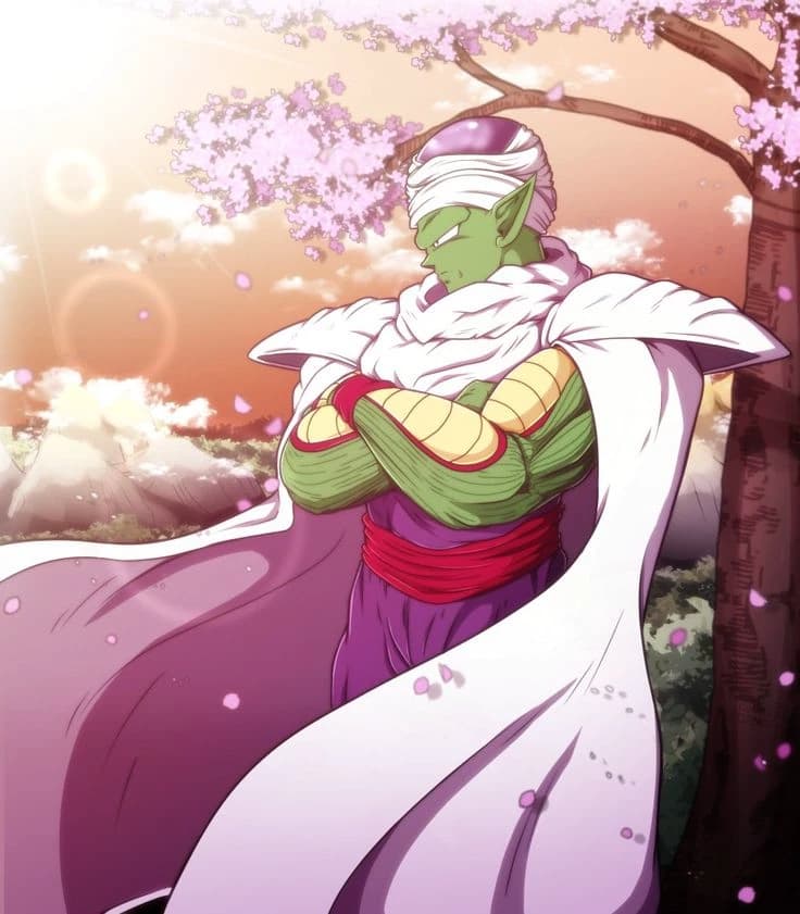 piccolo  thumbnail