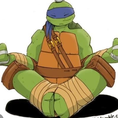 Leonardo de TMNT thumbnail