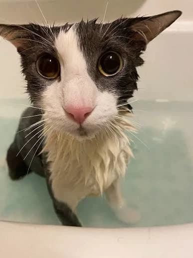 Soggy thumbnail