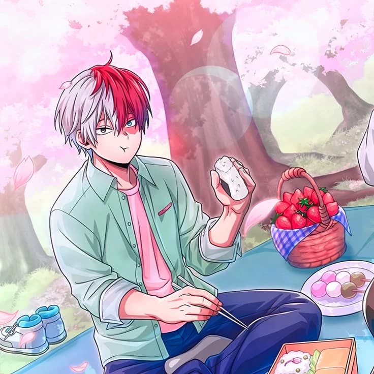 Todoroki Shoto thumbnail