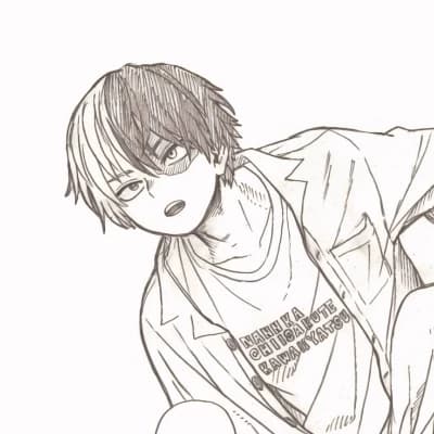 Shoto Todoroki. thumbnail