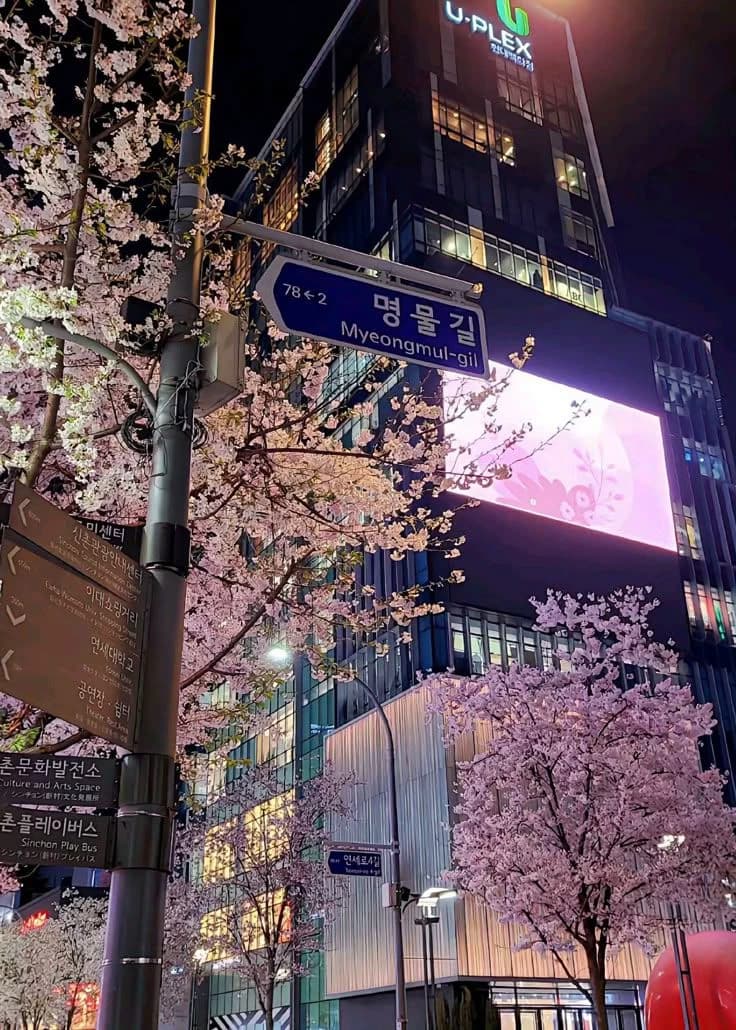 Seoul Life RPG thumbnail