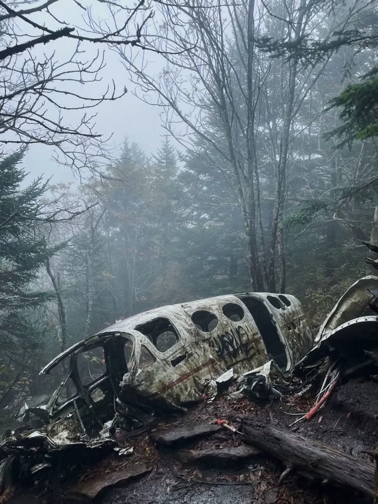 Plane crash (stuck with your sergent) thumbnail