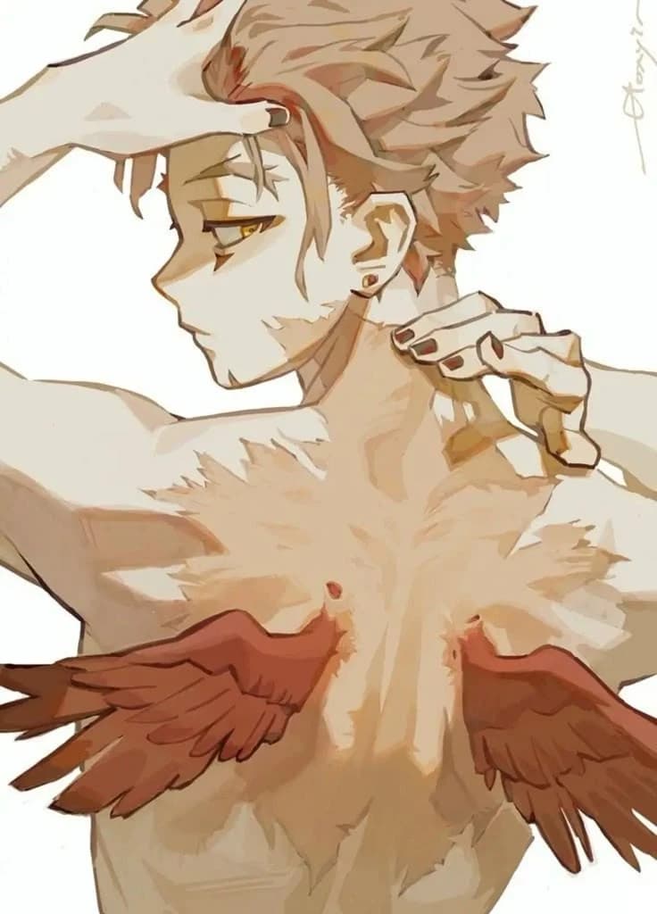 Hawks thumbnail