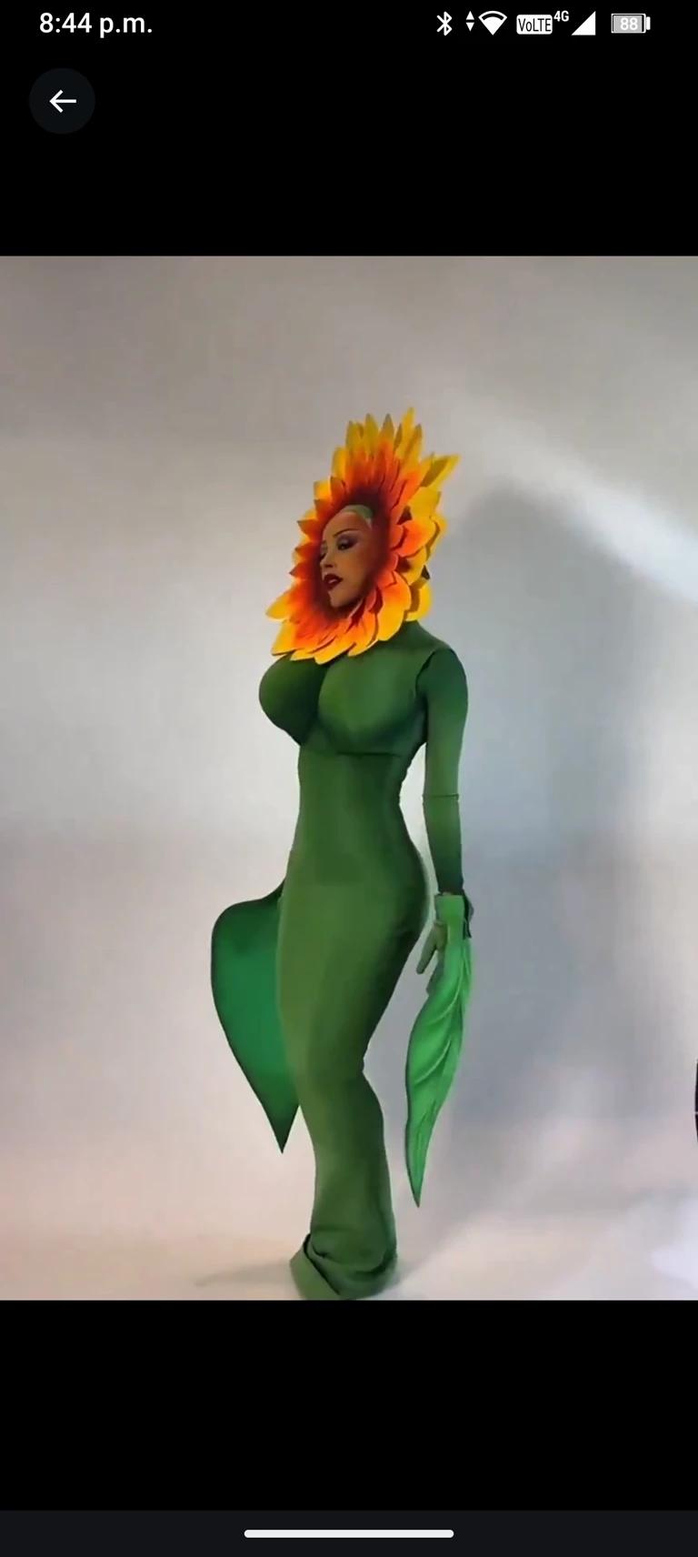 Girasol thumbnail
