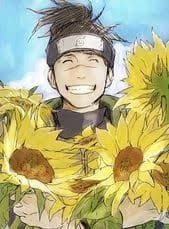 Iruka Umino thumbnail