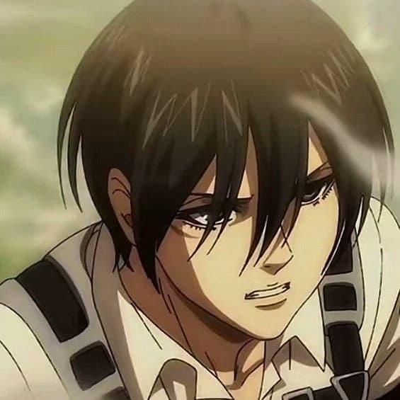 Mikasa Ackerman thumbnail