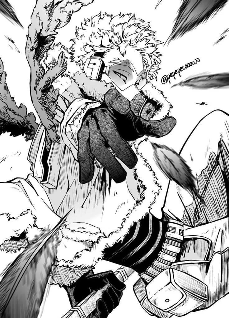 Hawks thumbnail