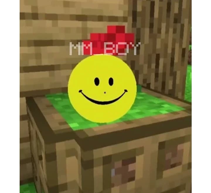 verity thumbnail