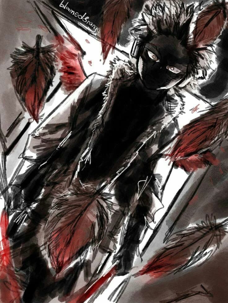Hawks thumbnail