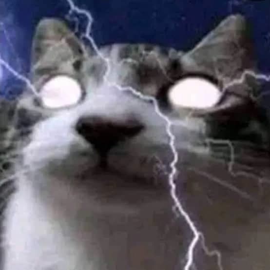 Amelia. thumbnail
