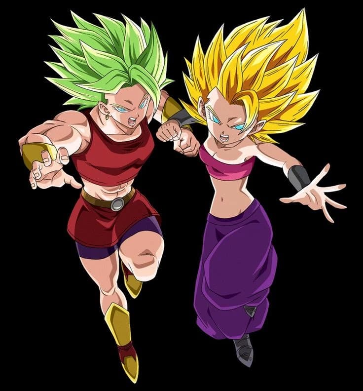 The one with the green hair is kale the one with yellow hair is caulifla  thumbnail