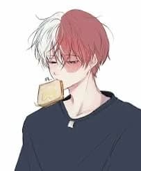 Todoroki thumbnail