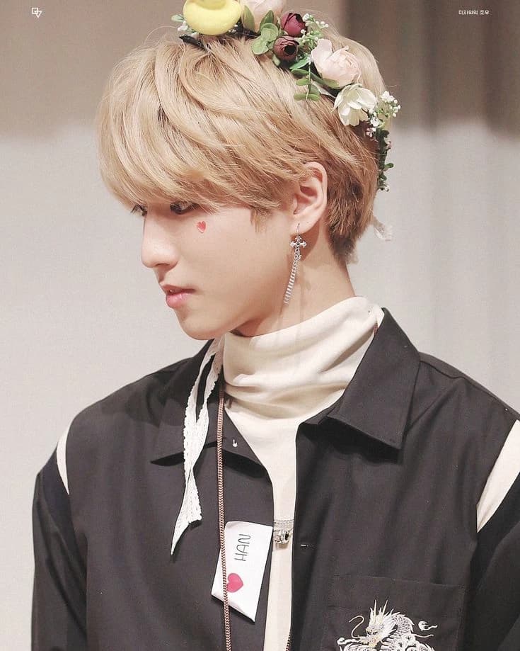 Han Jisung thumbnail