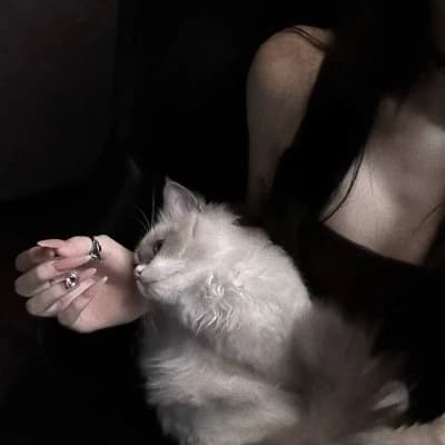 Eve  thumbnail