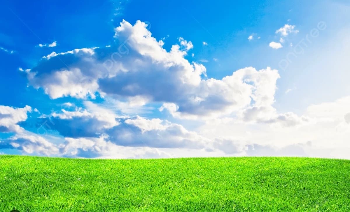 Hikayenizi oluşturun thumbnail