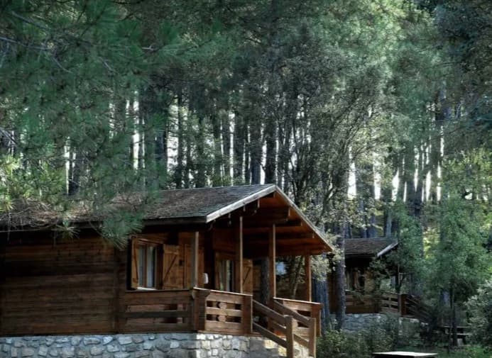 Co-ed camp (Hogwarts + half-blood camp + Shaanadaar camp, others thumbnail