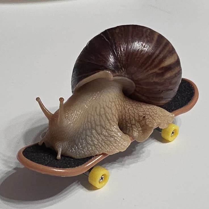 Snail reproduction thumbnail