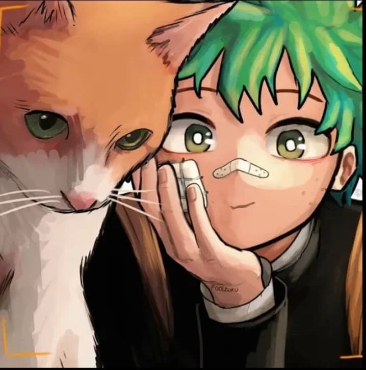 My hero academia x Perras 2011 thumbnail
