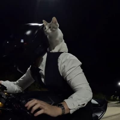 Hayden  thumbnail