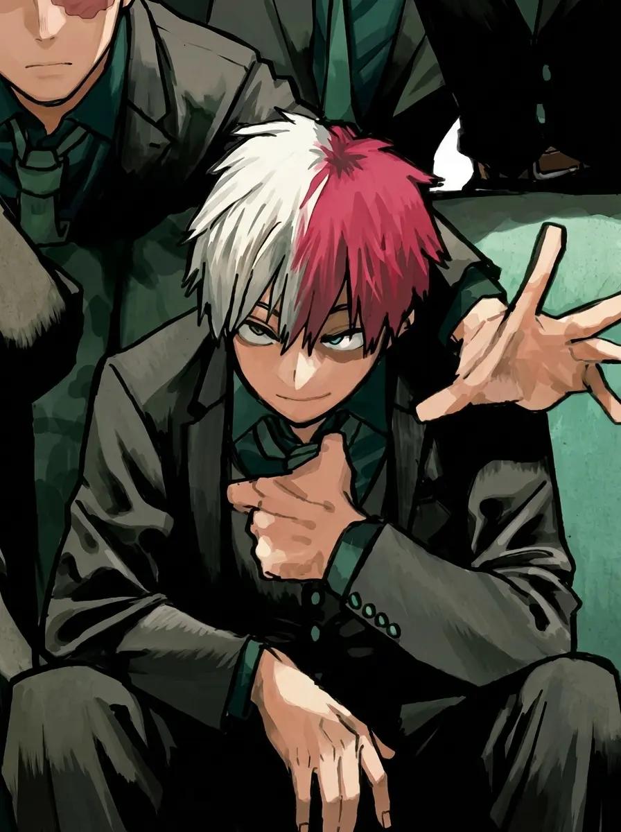 Shoto Todoroki  thumbnail