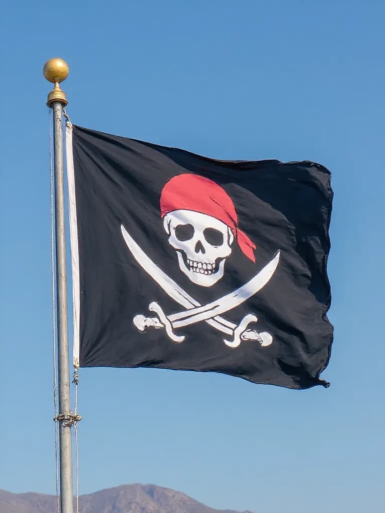 Pirate - Cook thumbnail