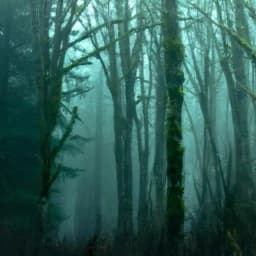 Scary Story Generator thumbnail
