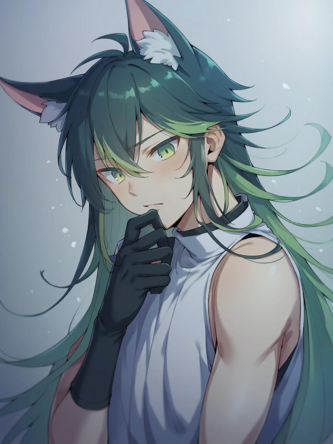 Shin thumbnail