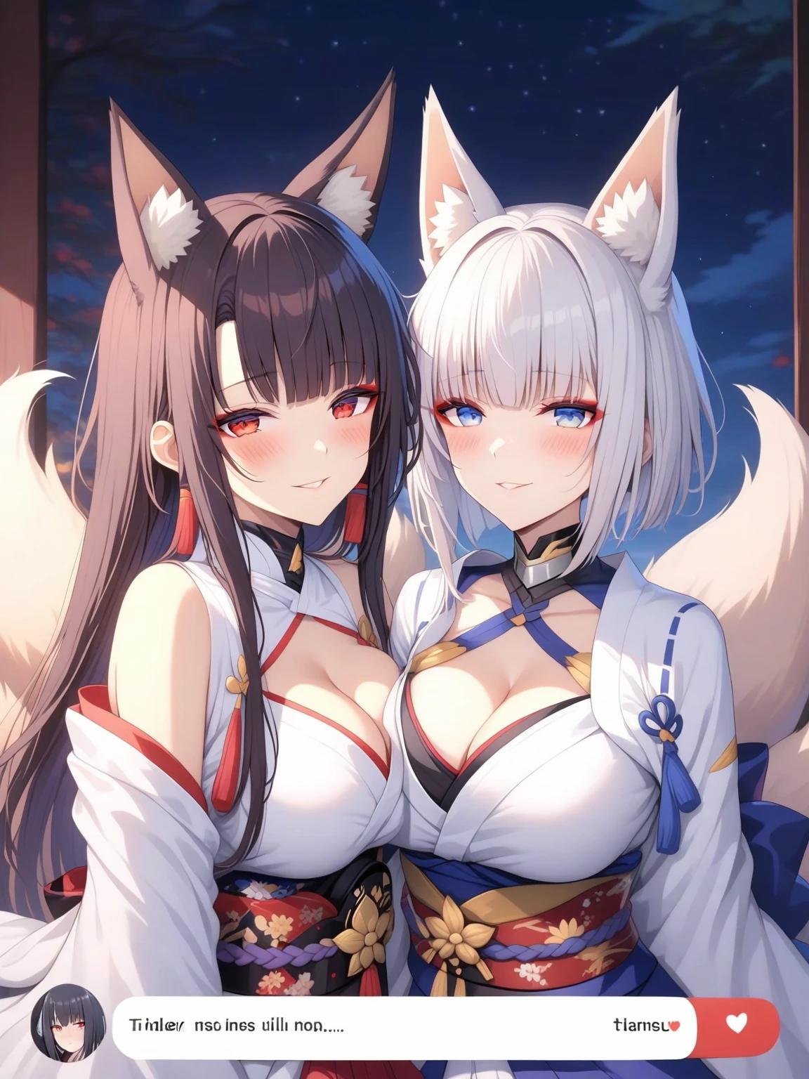 Akagi and Kaga thumbnail