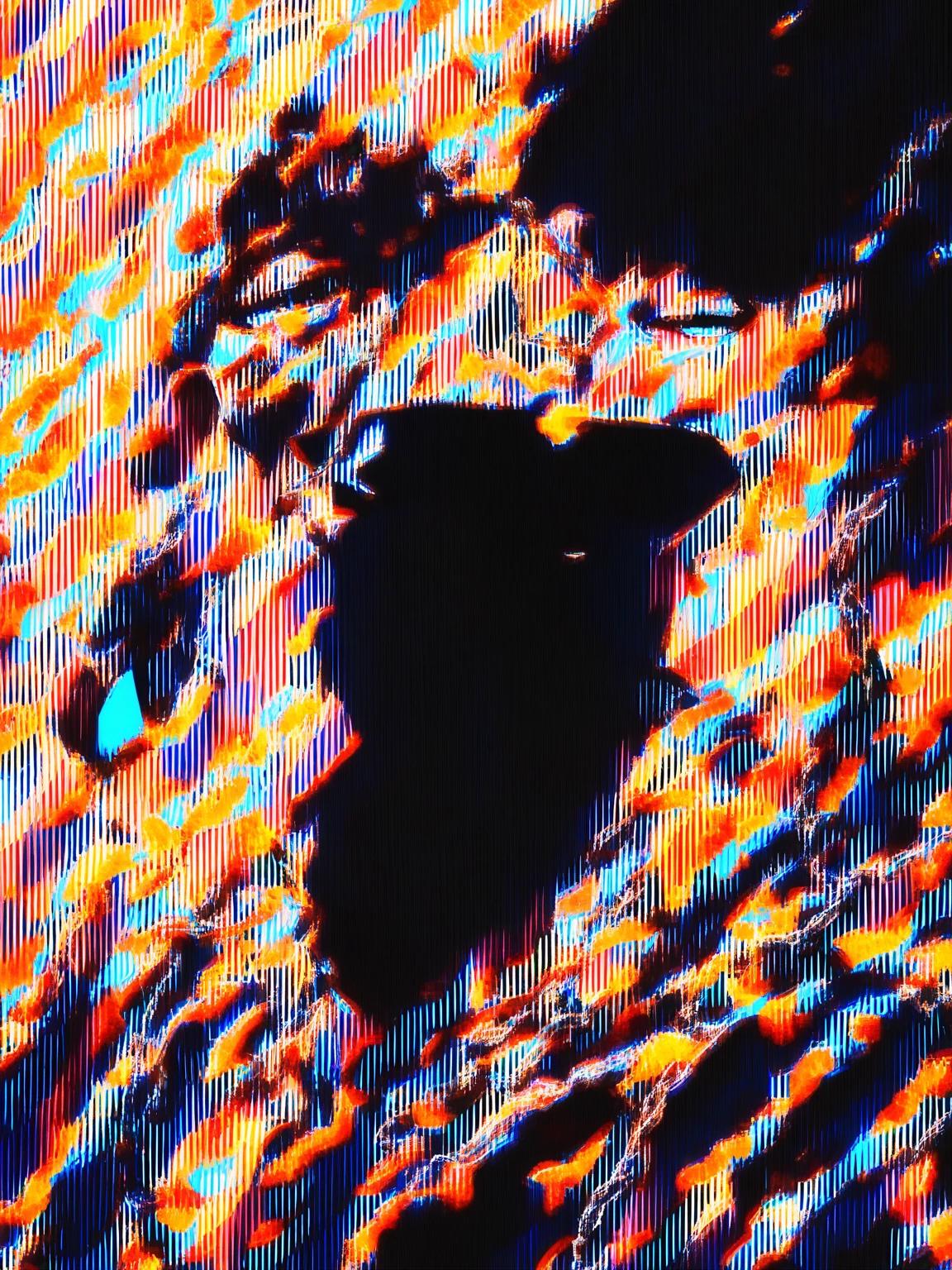 Ethan thumbnail