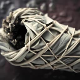 Symbolic Sage thumbnail
