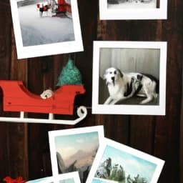 Christmas Dog Photo Collage thumbnail