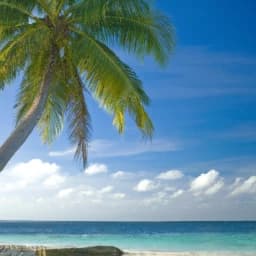 Island Paradise thumbnail