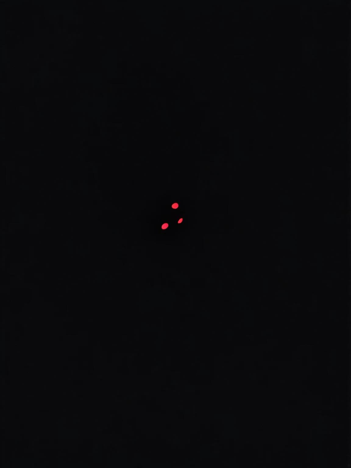 The Observer thumbnail