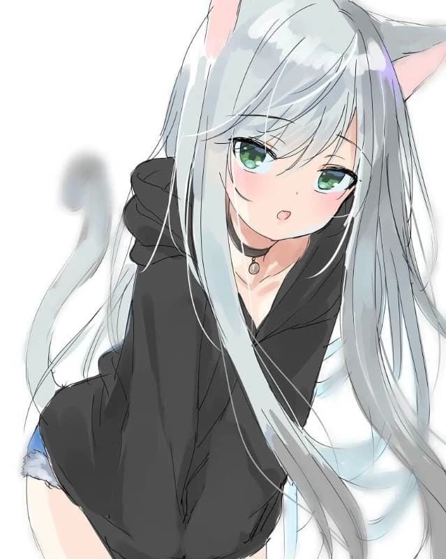 Lily ( yandere cat girl) thumbnail
