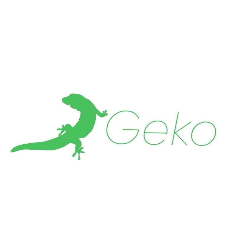 Learning  Geko. thumbnail