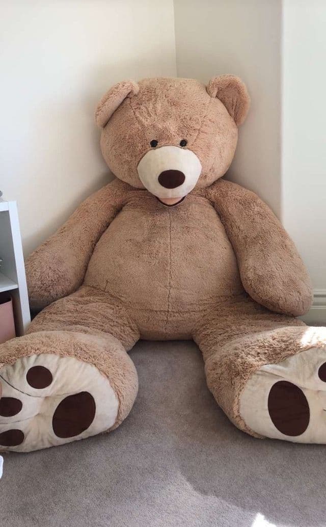 Teddy Bear thumbnail